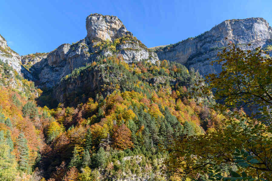 Huesca - parque nacional de Ordesa y Monte Perdido - valle de Añisclo 83 - cañon de Añisclo.jpg